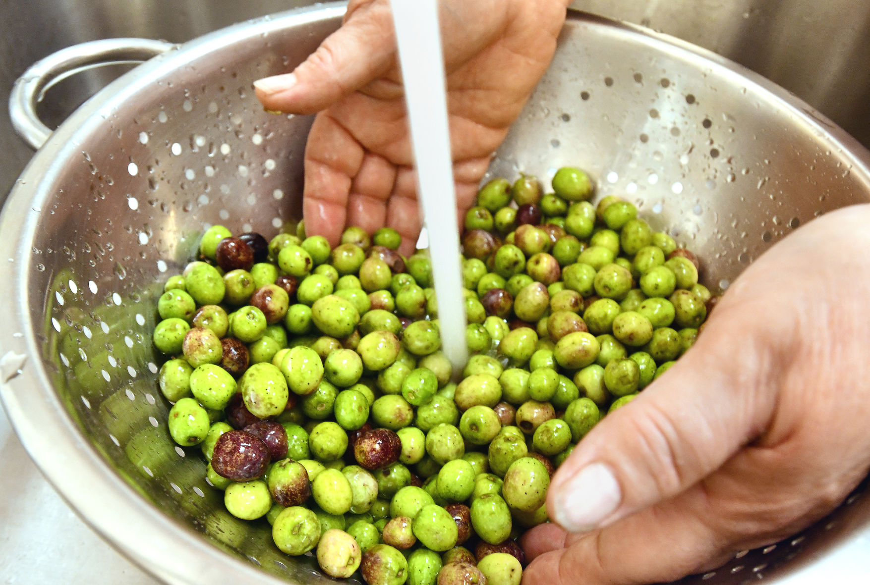 olives 3.jpg